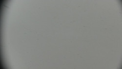 Praděd - Petrovy kameny