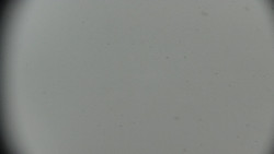 Praděd - Petrovy kameny