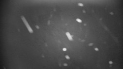 Praděd - Petrovy kameny