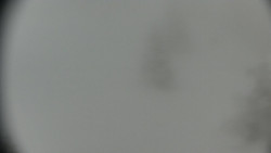 Praděd - Petrovy kameny