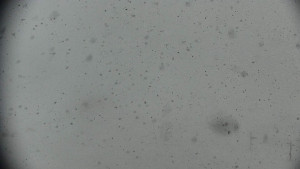 Horský hotel Volareza - Praděd - Praděd - Petrovy kameny - 23.2.2026 v 12:01 Horský hotel Volareza - Praděd - Praděd - Petrovy kameny - 23.2.2026 v 12:01