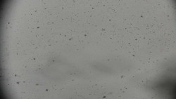 Praděd - Petrovy kameny