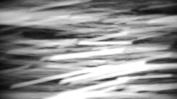 Praděd - Petrovy kameny