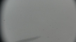 Praděd - Petrovy kameny