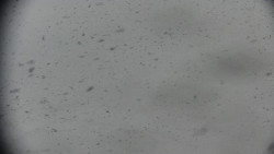 Praděd - Petrovy kameny