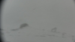 Praděd - Petrovy kameny