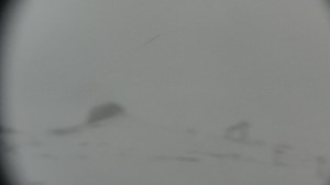 Horský hotel Volareza - Praděd - Praděd - Petrovy kameny - 17.3.2026 v 07:01 Horský hotel Volareza - Praděd - Praděd - Petrovy kameny - 17.3.2026 v 07:01