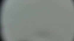 Praděd - Petrovy kameny