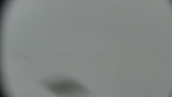 Praděd - Petrovy kameny