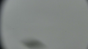 Horský hotel Volareza - Praděd - Praděd - Petrovy kameny - 17.3.2026 v 10:01 Horský hotel Volareza - Praděd - Praděd - Petrovy kameny - 17.3.2026 v 10:01