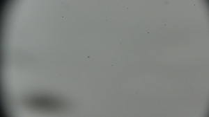 Horský hotel Volareza - Praděd - Praděd - Petrovy kameny - 17.3.2026 v 13:01 Horský hotel Volareza - Praděd - Praděd - Petrovy kameny - 17.3.2026 v 13:01