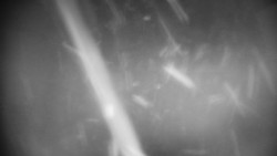 Praděd - Petrovy kameny