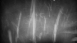 Praděd - Petrovy kameny