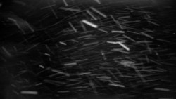 Praděd - Petrovy kameny