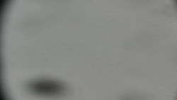 Praděd - Petrovy kameny