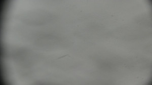 Horský hotel Volareza - Praděd - Praděd - Petrovy kameny - 26.3.2026 v 08:01 Horský hotel Volareza - Praděd - Praděd - Petrovy kameny - 26.3.2026 v 08:01