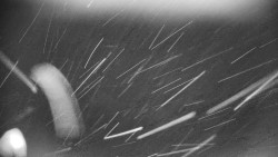 Praděd - Petrovy kameny