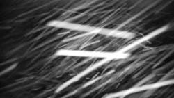 Praděd - Petrovy kameny