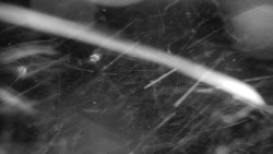 Praděd - Petrovy kameny