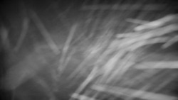 Praděd - Petrovy kameny