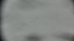 Praděd - Petrovy kameny