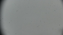 Praděd - Petrovy kameny