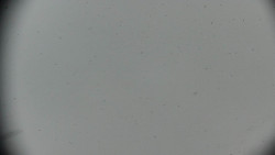 Praděd - Petrovy kameny