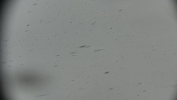 Praděd - Petrovy kameny