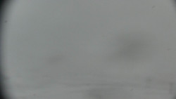 Praděd - Petrovy kameny