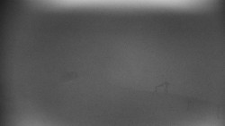 Praděd - Petrovy kameny