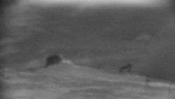 Praděd - Petrovy kameny