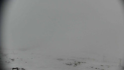 Praděd - Petrovy kameny