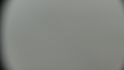 Praděd - Petrovy kameny