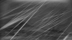 Praděd - Petrovy kameny