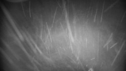 Praděd - Petrovy kameny