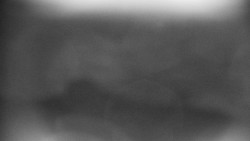 Praděd - Petrovy kameny