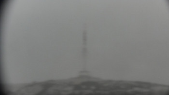 Snímek 17.11.2025 v 15:31