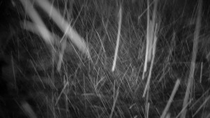 Horský hotel Volareza - Praděd - Vysílač Praděd - 2.1.2026 v 06:01 Horský hotel Volareza - Praděd - Vysílač Praděd - 2.1.2026 v 06:01