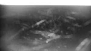 Horský hotel Volareza - Praděd - Vysílač Praděd - 14.2.2026 v 18:01 Horský hotel Volareza - Praděd - Vysílač Praděd - 14.2.2026 v 18:01