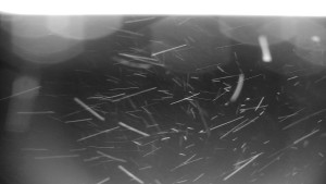 Horský hotel Volareza - Praděd - Vysílač Praděd - 14.2.2026 v 19:31 Horský hotel Volareza - Praděd - Vysílač Praděd - 14.2.2026 v 19:31