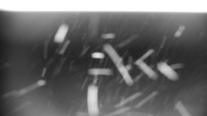 Horský hotel Volareza - Praděd - Vysílač Praděd - 14.2.2026 v 22:31 Horský hotel Volareza - Praděd - Vysílač Praděd - 14.2.2026 v 22:31