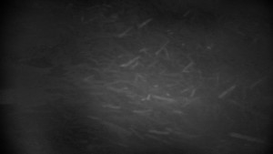 Horský hotel Volareza - Praděd - Vysílač Praděd - 31.3.2026 v 05:01 Horský hotel Volareza - Praděd - Vysílač Praděd - 31.3.2026 v 05:01