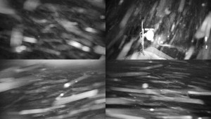 Horský hotel Volareza - Praděd - Sdružený snímek - 9.1.2026 v 20:31 Horský hotel Volareza - Praděd - Sdružený snímek - 9.1.2026 v 20:31