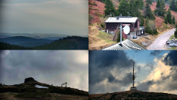 Sdružený snímek