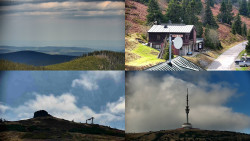Sdružený snímek