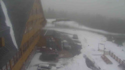 Parkoviště a hlavní vchod