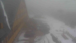 Parkoviště a hlavní vchod