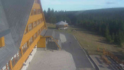 Parkoviště a hlavní vchod