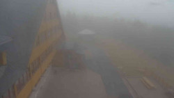 Parkoviště a hlavní vchod