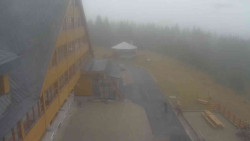 Parkoviště a hlavní vchod